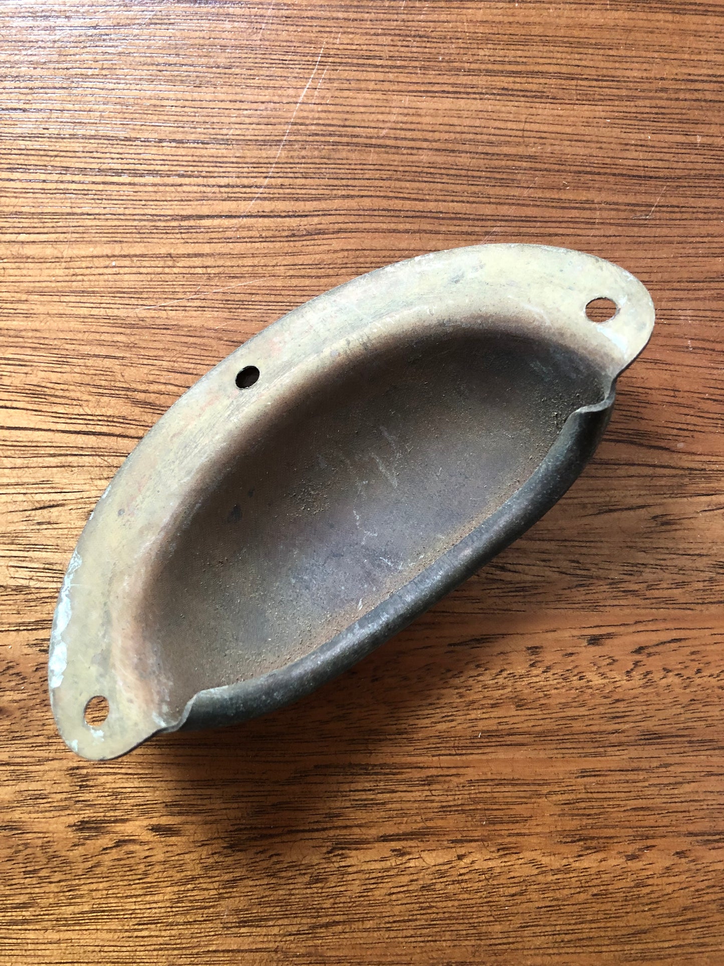 Vintage shell cup pull handles (set of 5)