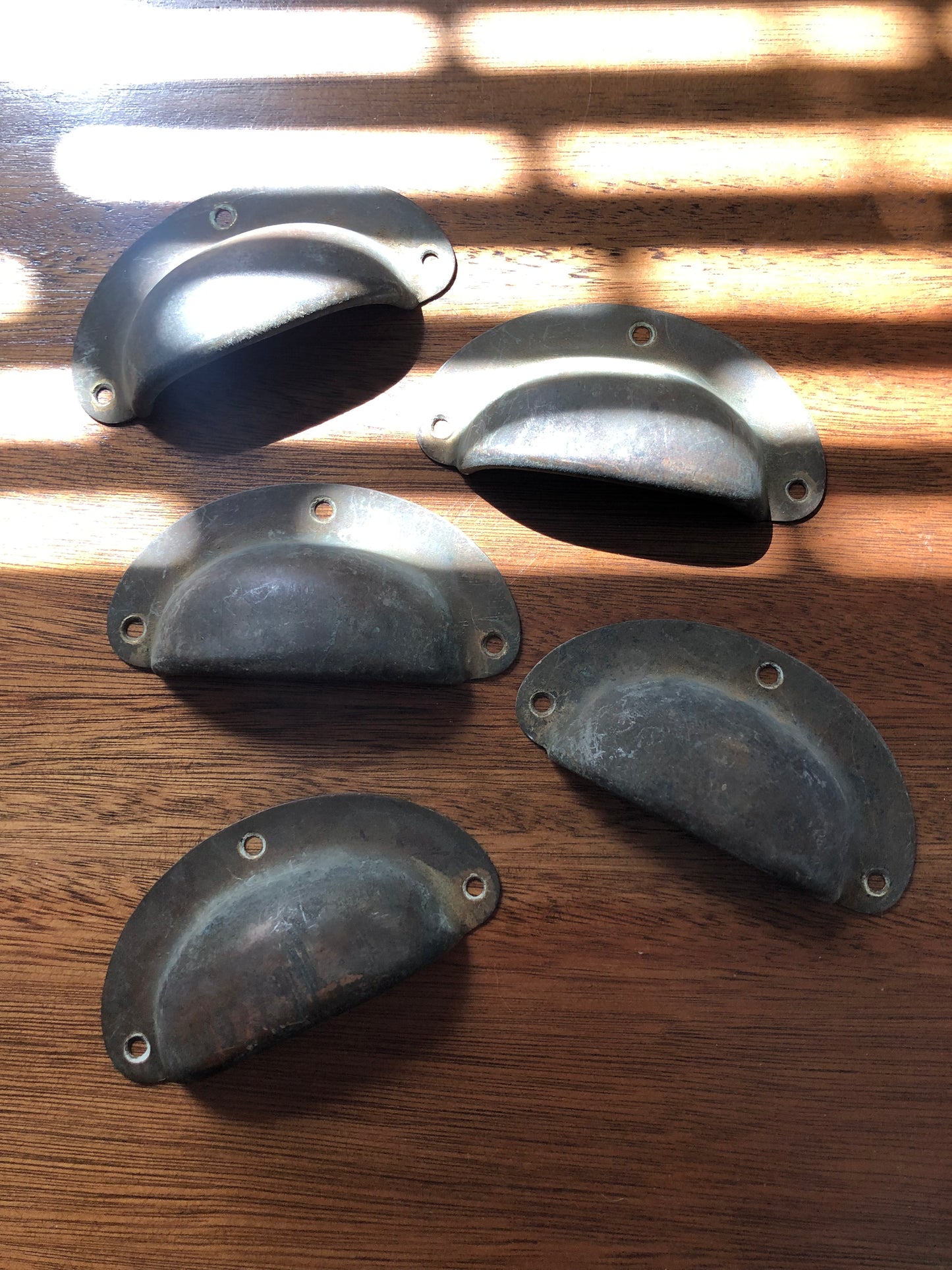 Vintage shell cup pull handles (set of 5)